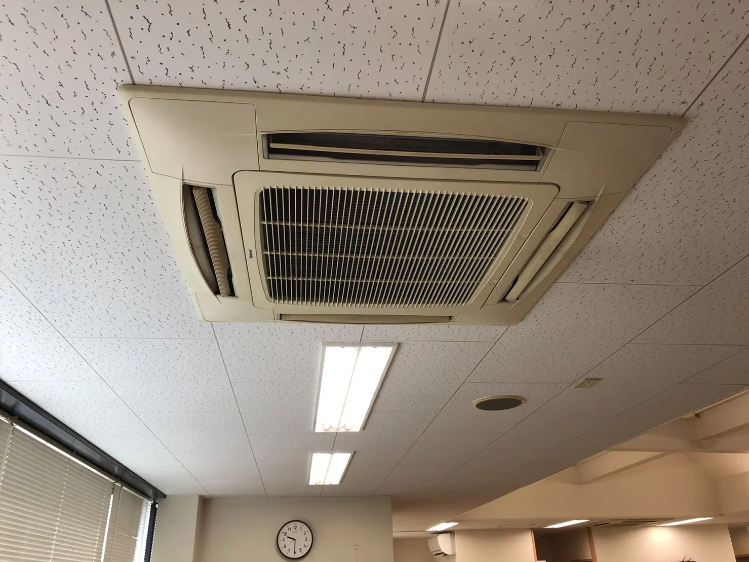 S__383401993.jpg